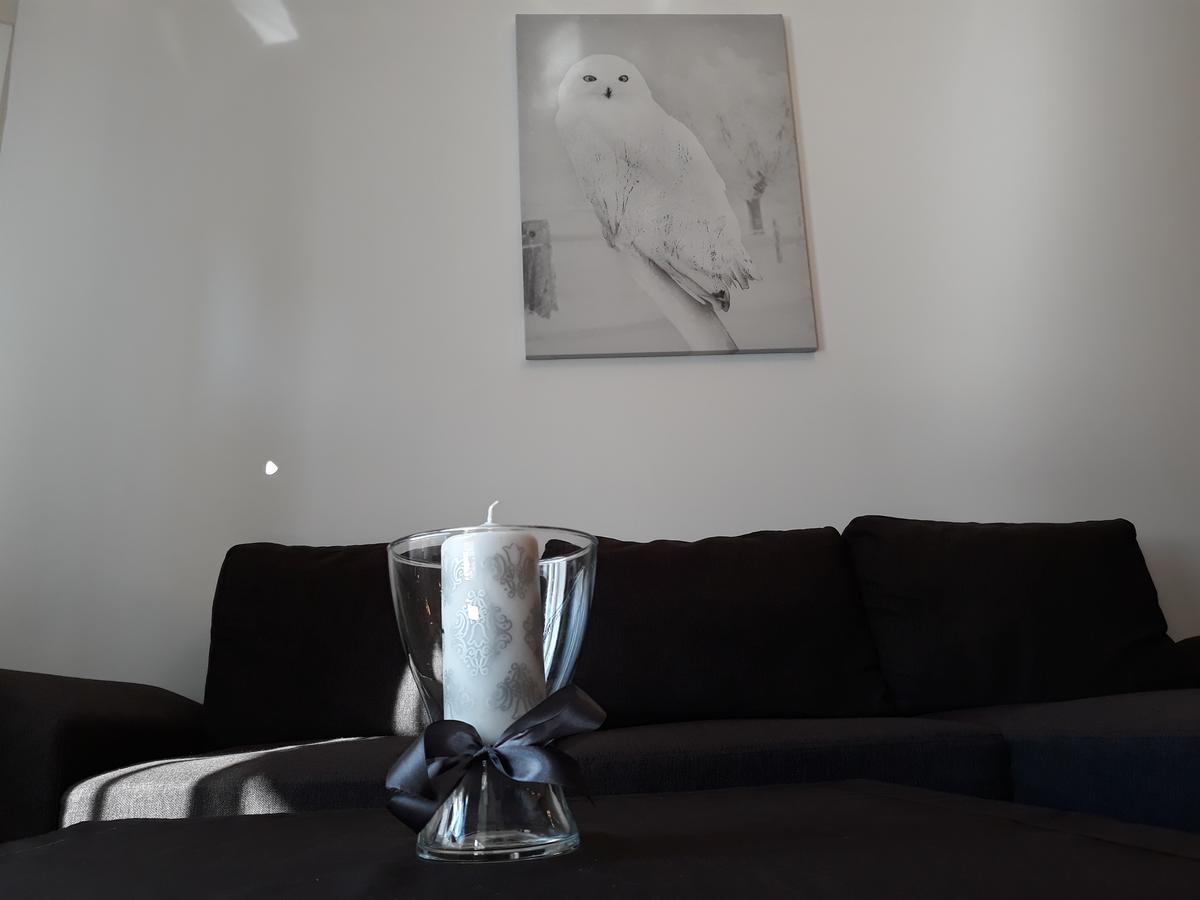 Mg Apartments Siedmiogrodzka وارسو المظهر الخارجي الصورة